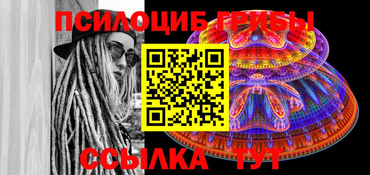 Псилоцибиновые грибы прущие грибы  как найти наркотики  Касимов  Вход с VPN 